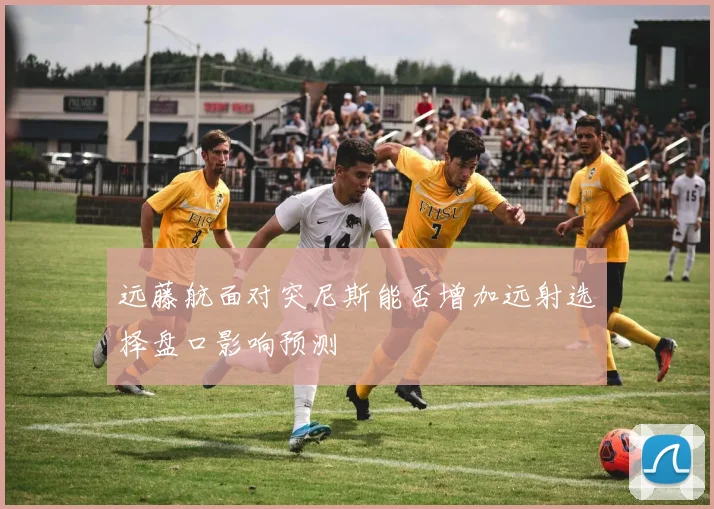 远藤航面对突尼斯能否增加远射选择盘口影响预测