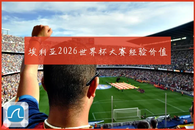 埃利亚2026世界杯大赛经验价值