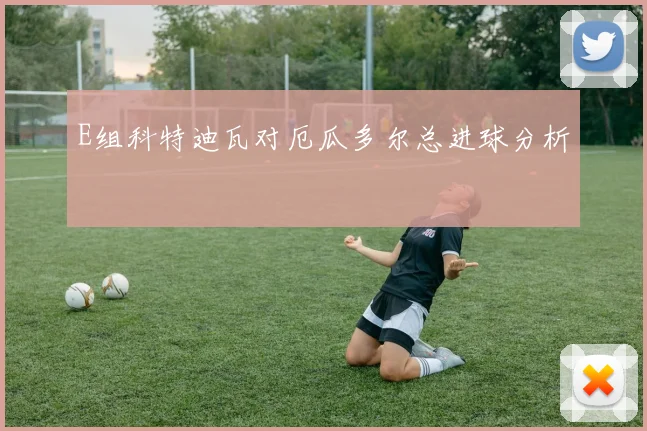 E组科特迪瓦对厄瓜多尔总进球分析